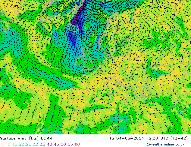 Surface wind ECMWF Út 04.06.2024 12 UTC