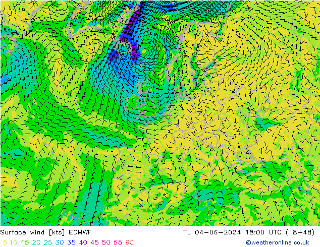 ветер 10 m ECMWF вт 04.06.2024 18 UTC