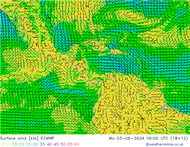 Surface wind ECMWF Mo 03.06.2024 06 UTC