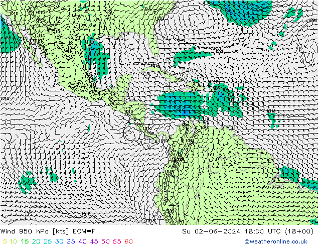 Wind 950 hPa ECMWF zo 02.06.2024 18 UTC