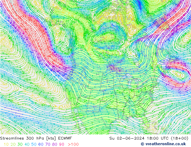 Stroomlijn 300 hPa ECMWF zo 02.06.2024 18 UTC