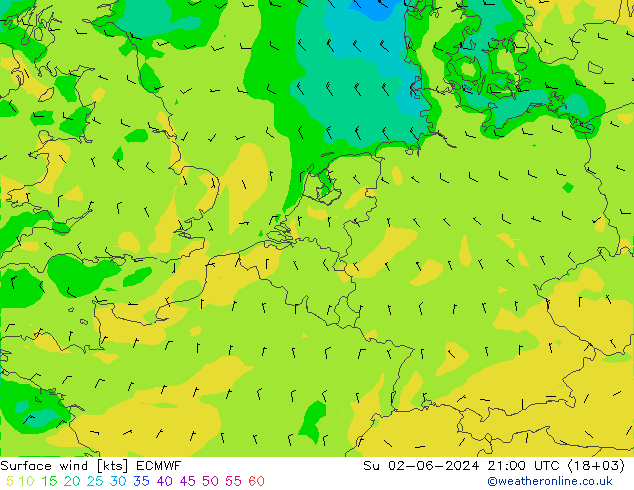 Vento 10 m ECMWF Dom 02.06.2024 21 UTC