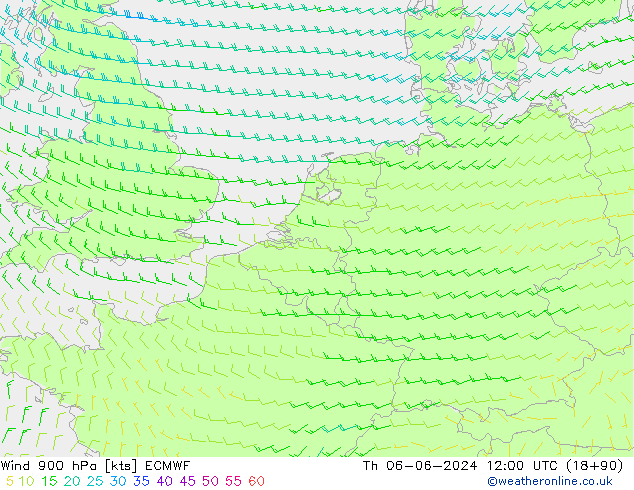  900 hPa ECMWF  06.06.2024 12 UTC