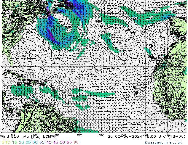  dom 02.06.2024 18 UTC