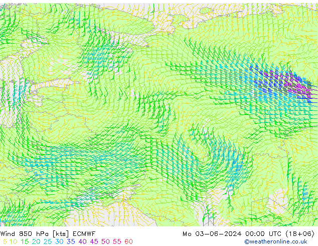 Rüzgar 850 hPa ECMWF Pzt 03.06.2024 00 UTC