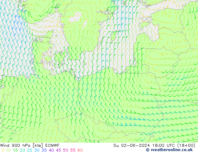  900 hPa ECMWF  02.06.2024 18 UTC