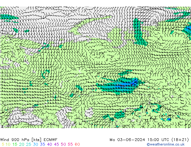 Wind 900 hPa ECMWF Mo 03.06.2024 15 UTC