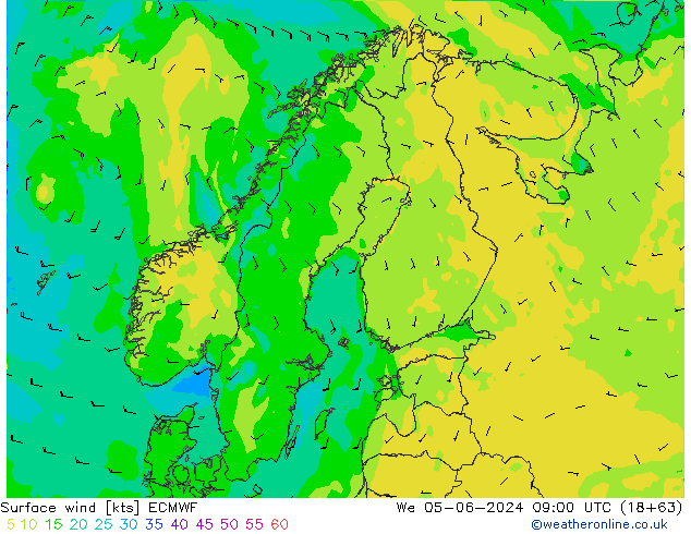 Bodenwind ECMWF Mi 05.06.2024 09 UTC