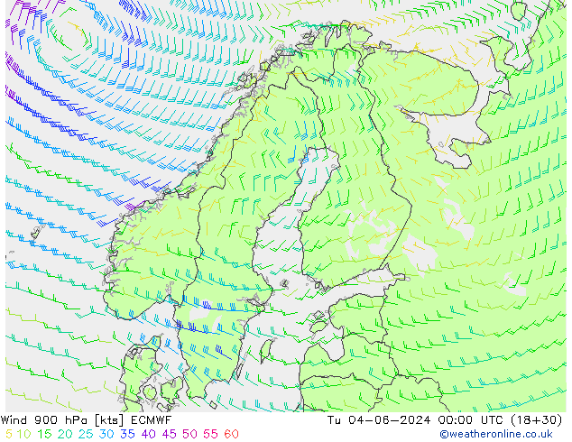 Wind 900 hPa ECMWF Tu 04.06.2024 00 UTC