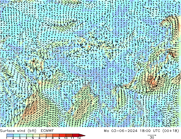 Vento 10 m (bft) ECMWF lun 03.06.2024 18 UTC