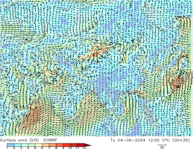 Surface wind (bft) ECMWF Út 04.06.2024 12 UTC