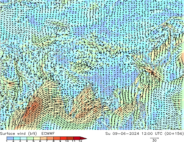 Wind 10 m (bft) ECMWF zo 09.06.2024 12 UTC