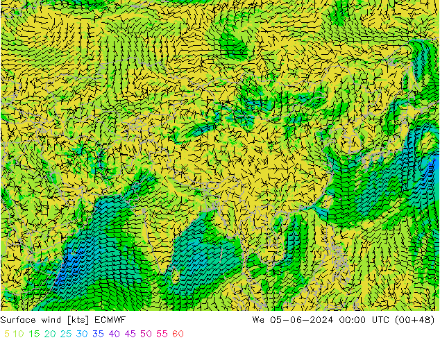 Vent 10 m ECMWF mer 05.06.2024 00 UTC