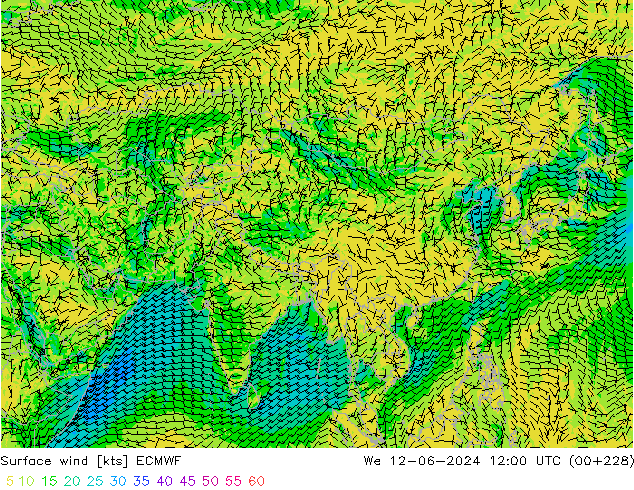 Wind 10 m ECMWF wo 12.06.2024 12 UTC