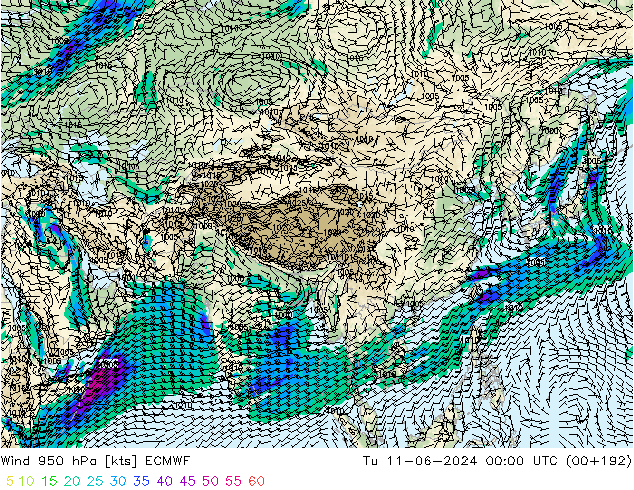 wiatr 950 hPa ECMWF wto. 11.06.2024 00 UTC