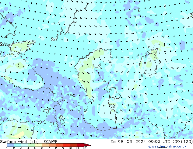 Surface wind (bft) ECMWF So 08.06.2024 00 UTC
