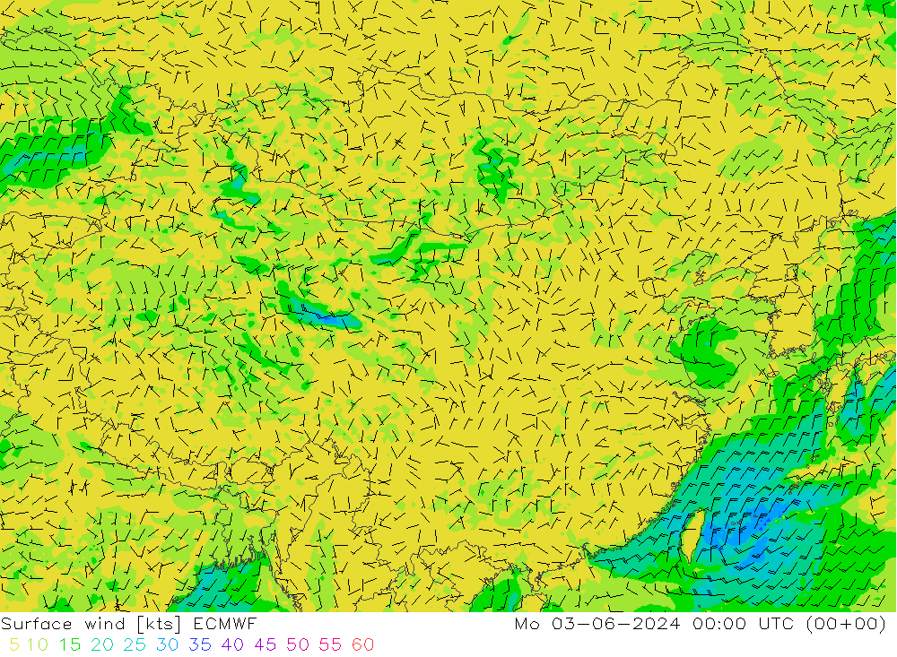 wiatr 10 m ECMWF pon. 03.06.2024 00 UTC
