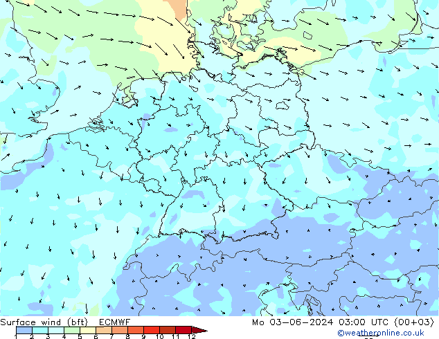 Surface wind (bft) ECMWF Mo 03.06.2024 03 UTC