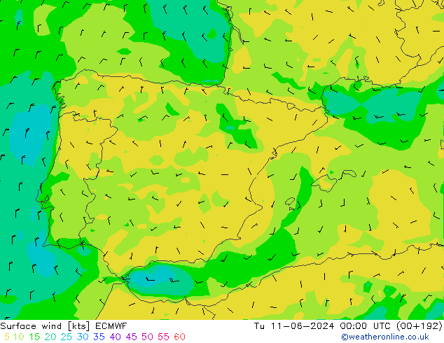 Wind 10 m ECMWF di 11.06.2024 00 UTC