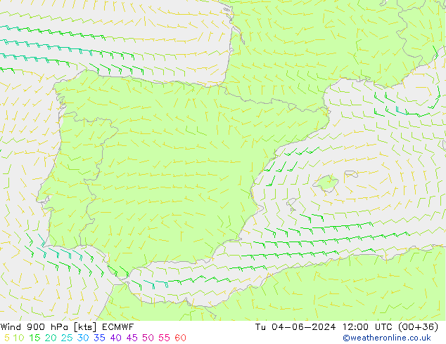 Rüzgar 900 hPa ECMWF Sa 04.06.2024 12 UTC