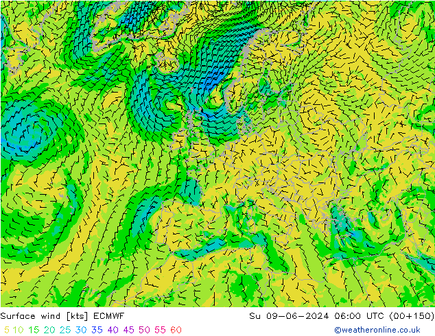 Surface wind ECMWF Su 09.06.2024 06 UTC