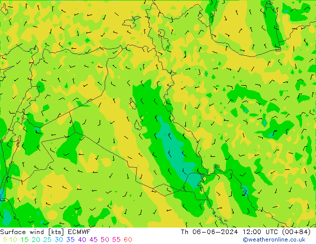 Surface wind ECMWF Th 06.06.2024 12 UTC