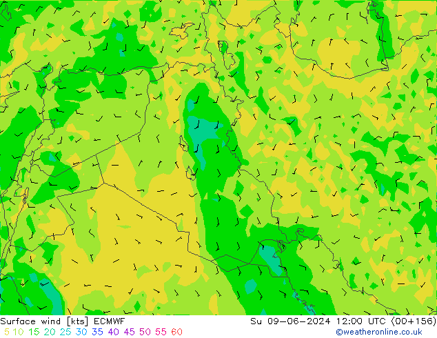 Wind 10 m ECMWF zo 09.06.2024 12 UTC