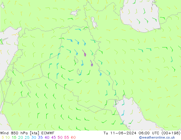 Wind 850 hPa ECMWF Tu 11.06.2024 06 UTC