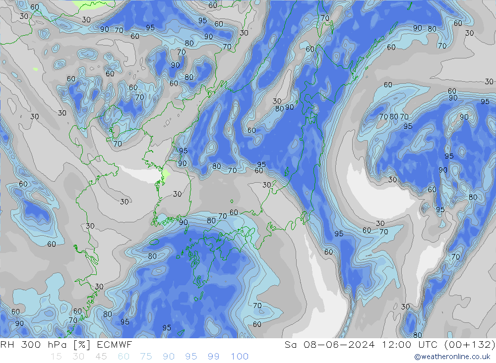 RH 300 hPa ECMWF  08.06.2024 12 UTC