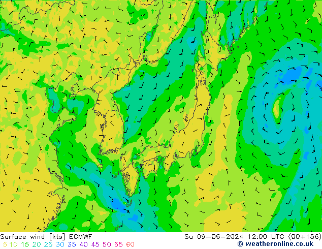 Surface wind ECMWF Su 09.06.2024 12 UTC