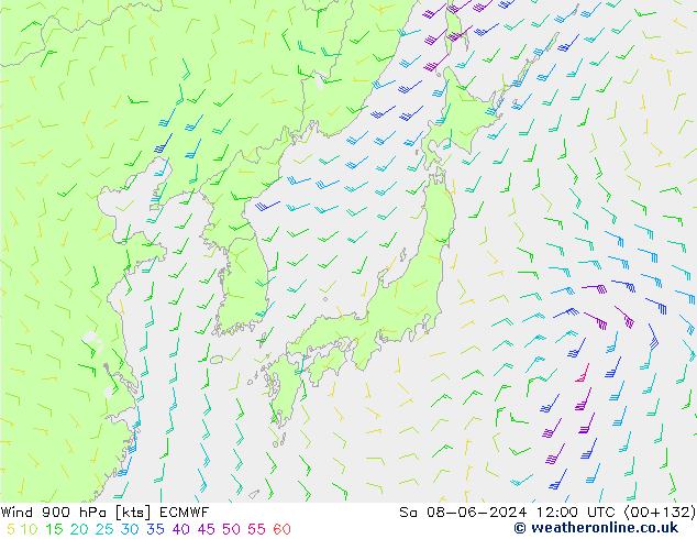  900 hPa ECMWF  08.06.2024 12 UTC