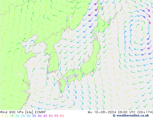 Wind 900 hPa ECMWF Mo 10.06.2024 06 UTC