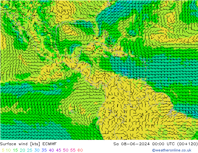 Wind 10 m ECMWF za 08.06.2024 00 UTC