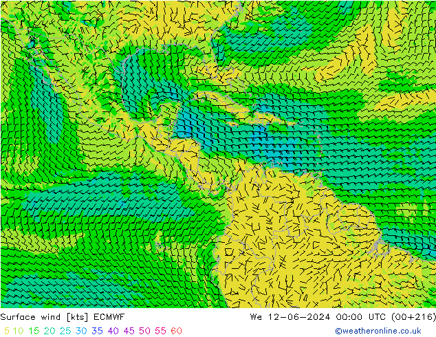 Surface wind ECMWF St 12.06.2024 00 UTC