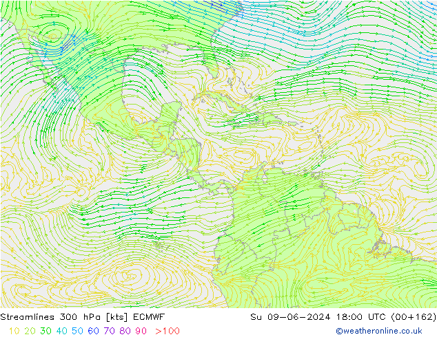 ветер 300 гПа ECMWF Вс 09.06.2024 18 UTC