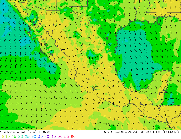 Surface wind ECMWF Mo 03.06.2024 06 UTC