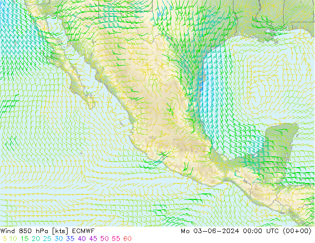 Rüzgar 850 hPa ECMWF Pzt 03.06.2024 00 UTC