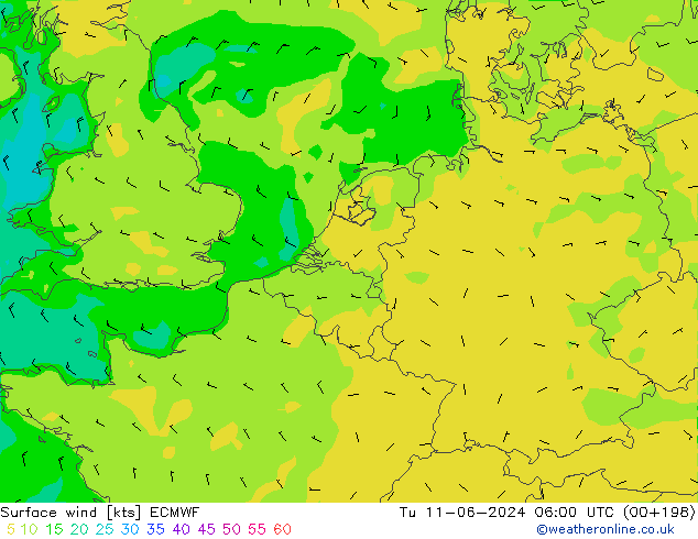 Vent 10 m ECMWF mar 11.06.2024 06 UTC