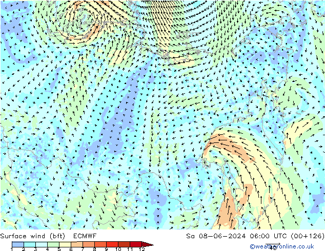 Surface wind (bft) ECMWF So 08.06.2024 06 UTC