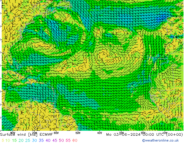 Surface wind ECMWF Mo 03.06.2024 00 UTC