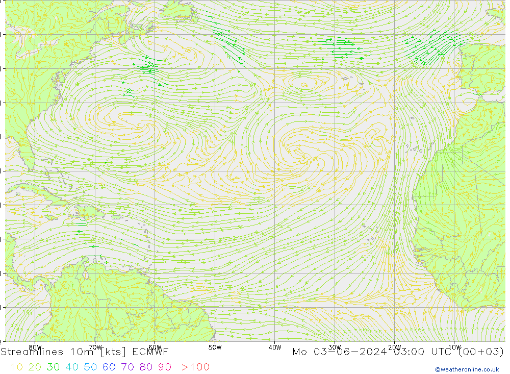 Linea di flusso 10m ECMWF lun 03.06.2024 03 UTC