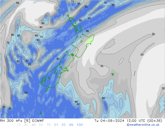 Humedad rel. 300hPa ECMWF mar 04.06.2024 12 UTC