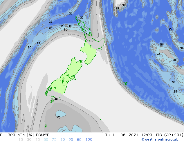 RH 300 hPa ECMWF Di 11.06.2024 12 UTC