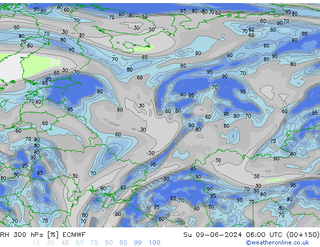 300 hPa Nispi Nem ECMWF Paz 09.06.2024 06 UTC