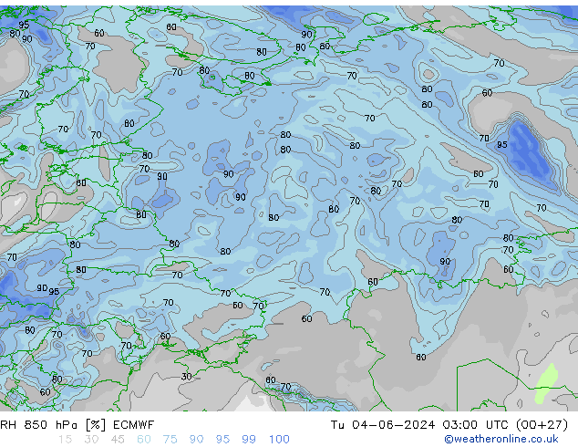 RV 850 hPa ECMWF di 04.06.2024 03 UTC