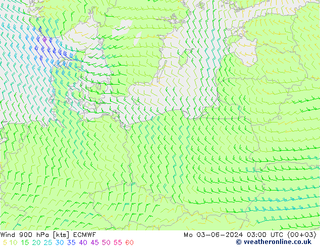 Wind 900 hPa ECMWF ma 03.06.2024 03 UTC