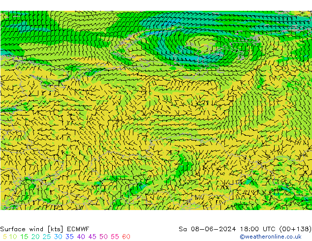 Surface wind ECMWF So 08.06.2024 18 UTC