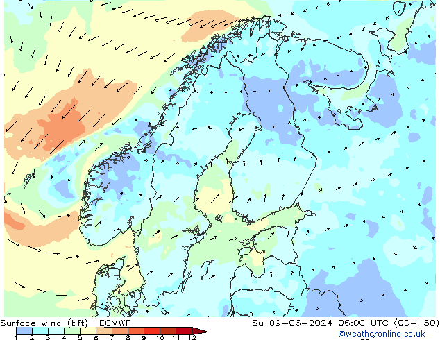 Surface wind (bft) ECMWF Su 09.06.2024 06 UTC