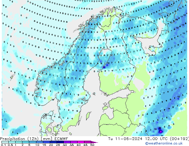 Precipitation (12h) ECMWF Tu 11.06.2024 00 UTC