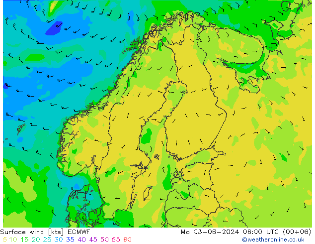 Bodenwind ECMWF Mo 03.06.2024 06 UTC